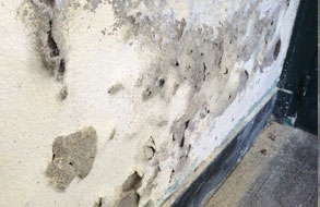 293_190_facade-mur--pathologies--salpetre-003